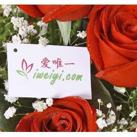 Senden Sie einen Strauß roter Rosen nach China