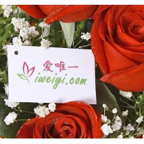 Envie um buquê de rosas vermelhas para a China.