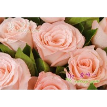 मेरे पास कोई विकल्प नहीं है