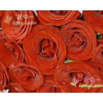 मेरे पास एक अच्छा विचार है