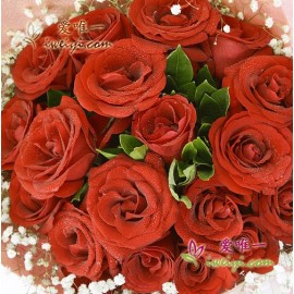 19 langstielige rote Rosen in voller Blüte