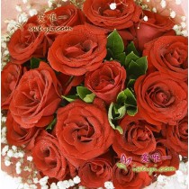 19 long stem red roses in full bloom