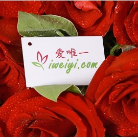 Send a bouquet of fresh red roses to China