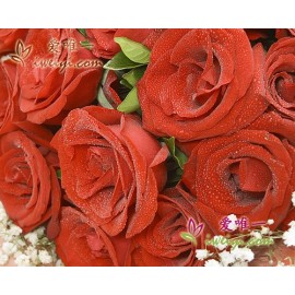 19 langstielige rote Rosen