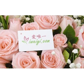 Send a bouquet of 19 pink roses to China