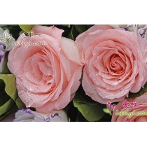 Porque eu gosto de você