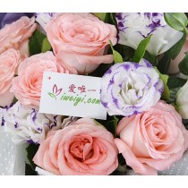 Porque eu gosto de você