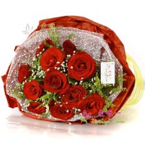 11 premium red roses accented by solidago decurrens, limonium perezii, Irish leaves and baby's breath.