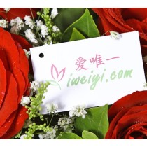 rosas vermelhas frescas