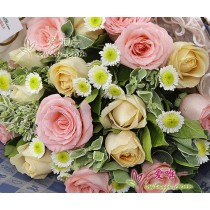 मुझे यह पसंद है