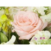 期待你的愛