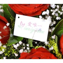 11 premium long-stem red roses