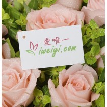 मुझे यह पसंद है