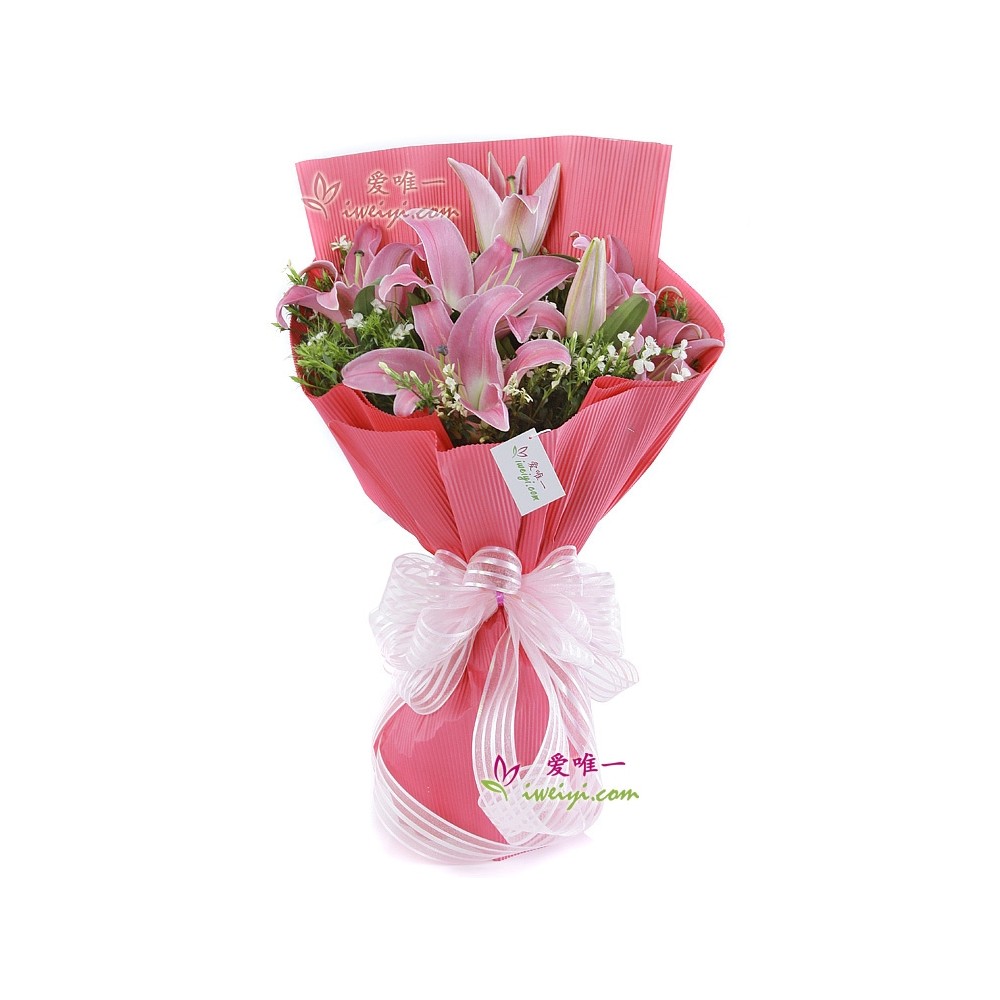 लालित्य और सुंदरता