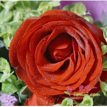 गहरा प्रेम