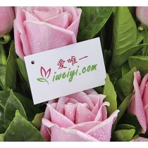 Meu amor nunca acaba