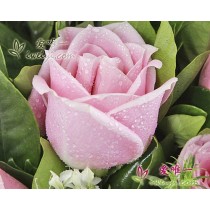 Meu amor nunca acaba