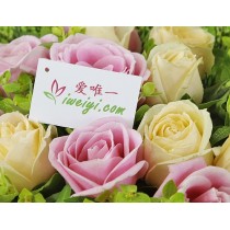 你是我最美麗的意外