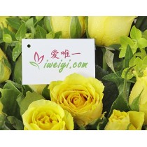 मेरा मतलब है