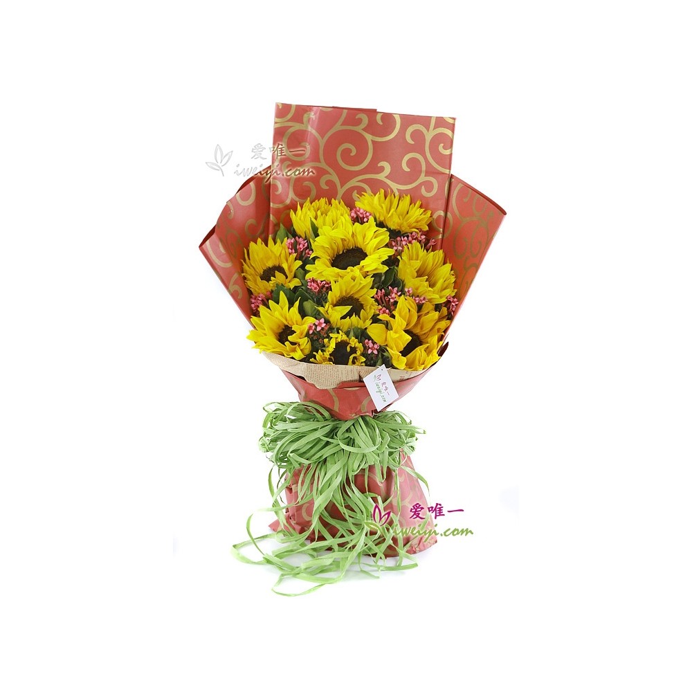 Amor e felicidade simples