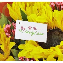 Amor e felicidade simples