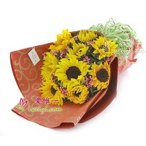 सरल प्रेम और खुशी