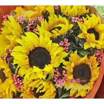 सरल प्रेम और खुशी