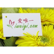 फूलों का गुलदस्ता « सनी मूड »