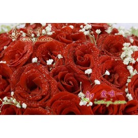 66 premium red roses