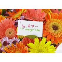 Você é meu raio de sol