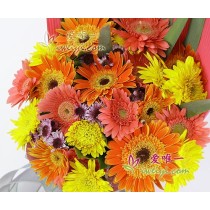 Você é meu raio de sol