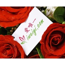 प्रेम की घोषणाएँ