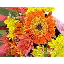 Você é meu raio de sol