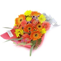 Você é meu raio de sol