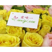 मेरा मतलब है