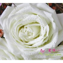 一束鮮花 « 情人節快樂親愛的！ »