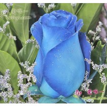 यह एक अच्छा विचार है