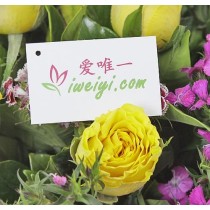 मेरा पसंदीदा