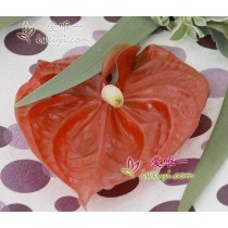 हार्दिक शुभकामना