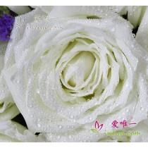 Extremamente fascinante e encantador.