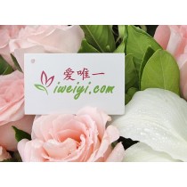 我相信,我们的爱