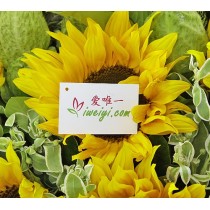 मुझे यह पसंद है