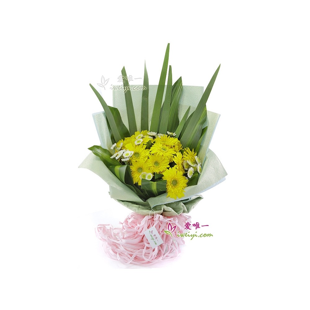 天天向上 天天向上