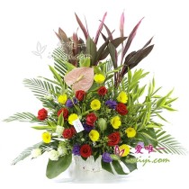 आपको शुभकामनाएँ और खुशियाँ