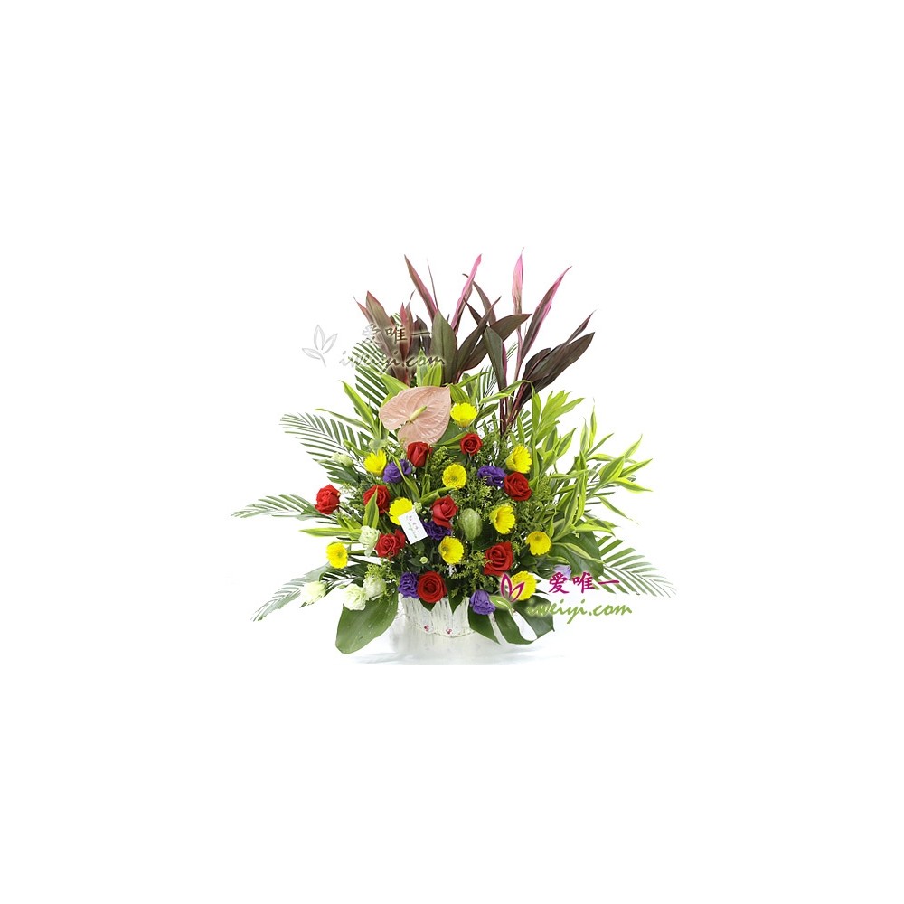 आपको शुभकामनाएँ और खुशियाँ