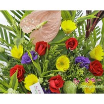 Desejo-te muita sorte e felicidade.