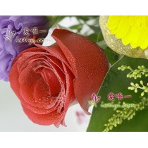 Desejo-te muita sorte e felicidade.