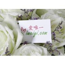 白熾的愛