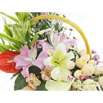 Navegando rumo à graça