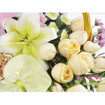 Navegando rumo à graça